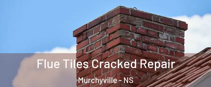 Flue Tiles Cracked Repair Murchyville - NS