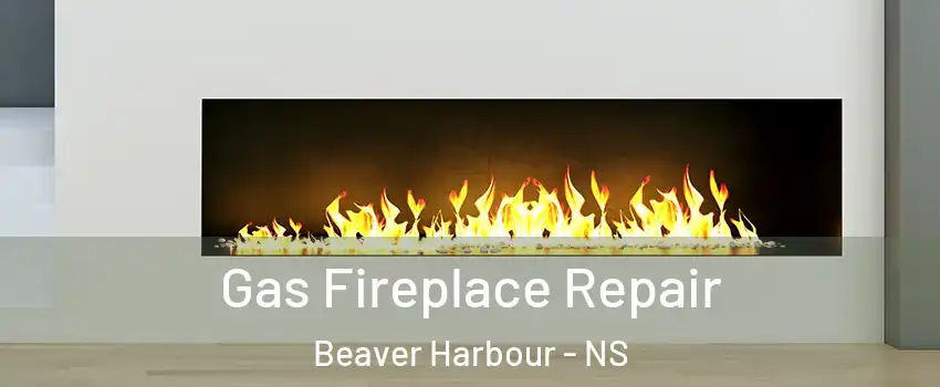 Gas Fireplace Repair Beaver Harbour - NS