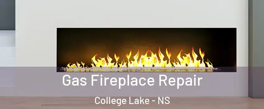 Gas Fireplace Repair College Lake - NS