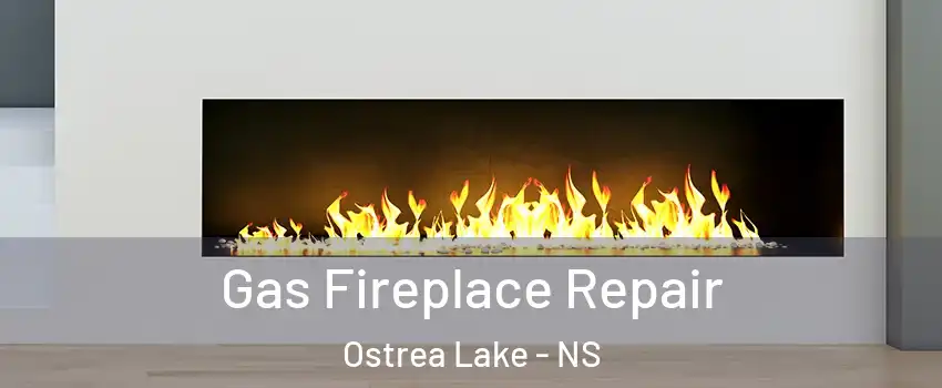 Gas Fireplace Repair Ostrea Lake - NS
