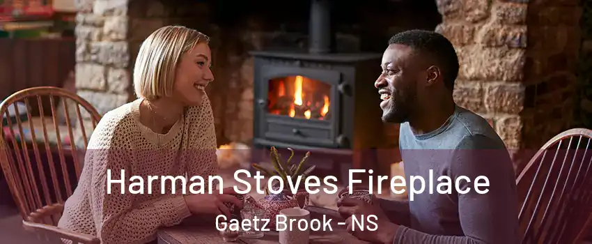 Harman Stoves Fireplace Gaetz Brook - NS