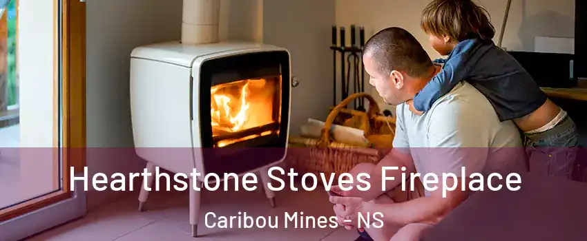 Hearthstone Stoves Fireplace Caribou Mines - NS
