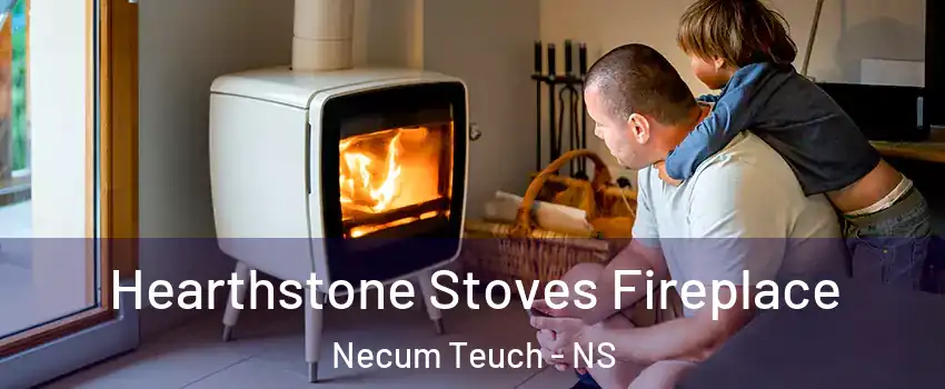 Hearthstone Stoves Fireplace Necum Teuch - NS