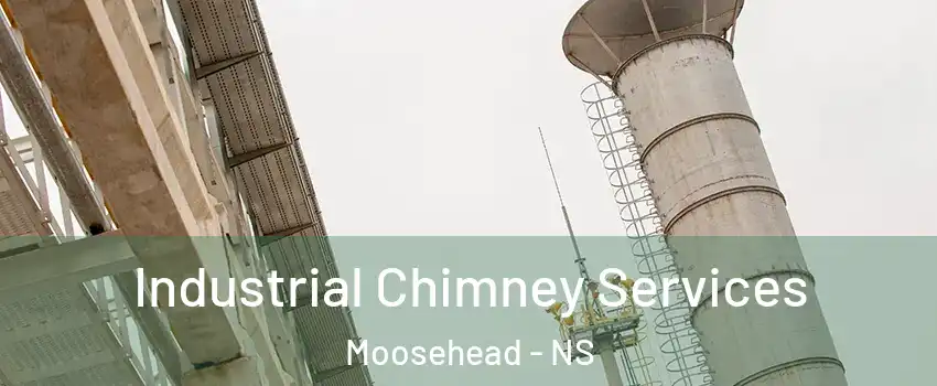 Industrial Chimney Services Moosehead - NS