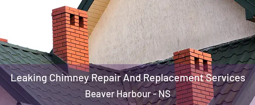 Leaking Chimney Repair And Replacement Services Beaver Harbour - NS