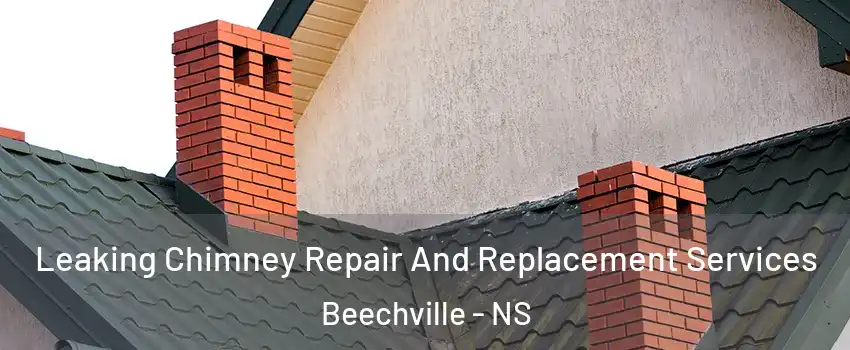 Leaking Chimney Repair And Replacement Services Beechville - NS
