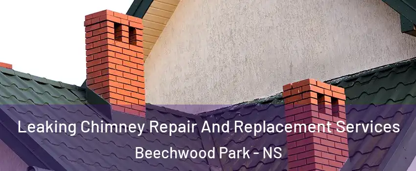 Leaking Chimney Repair And Replacement Services Beechwood Park - NS