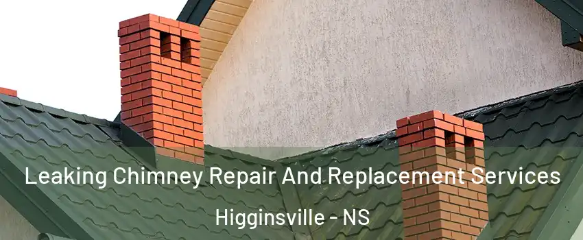 Leaking Chimney Repair And Replacement Services Higginsville - NS