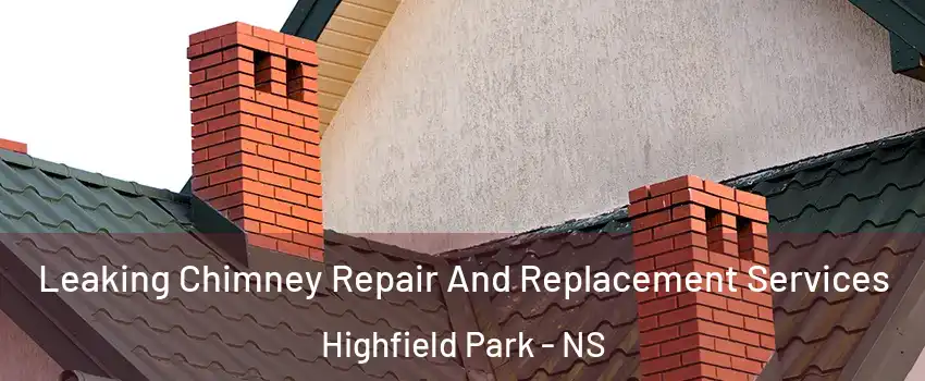 Leaking Chimney Repair And Replacement Services Highfield Park - NS