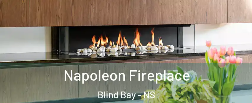 Napoleon Fireplace Blind Bay - NS