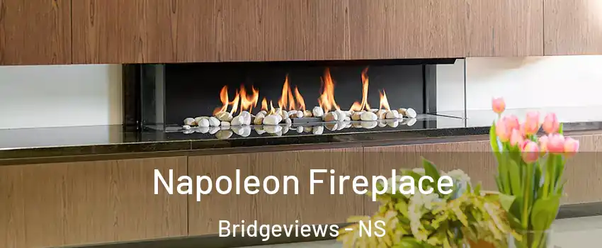 Napoleon Fireplace Bridgeviews - NS