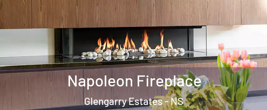 Napoleon Fireplace Glengarry Estates - NS