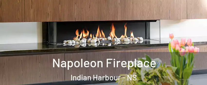 Napoleon Fireplace Indian Harbour - NS