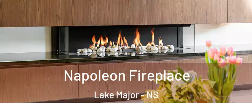 Napoleon Fireplace Lake Major - NS