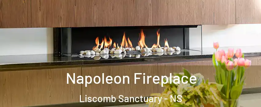 Napoleon Fireplace Liscomb Sanctuary - NS