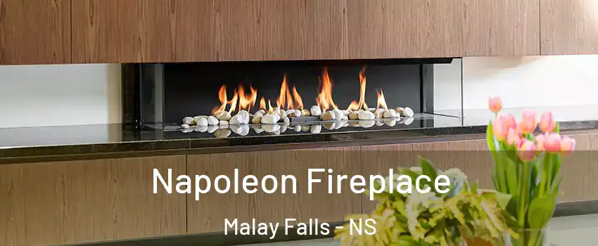 Napoleon Fireplace Malay Falls - NS