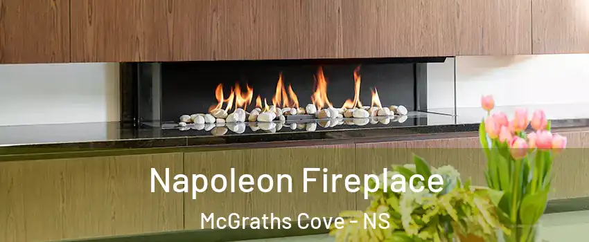 Napoleon Fireplace McGraths Cove - NS