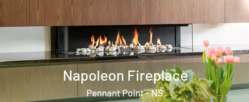 Napoleon Fireplace Pennant Point - NS