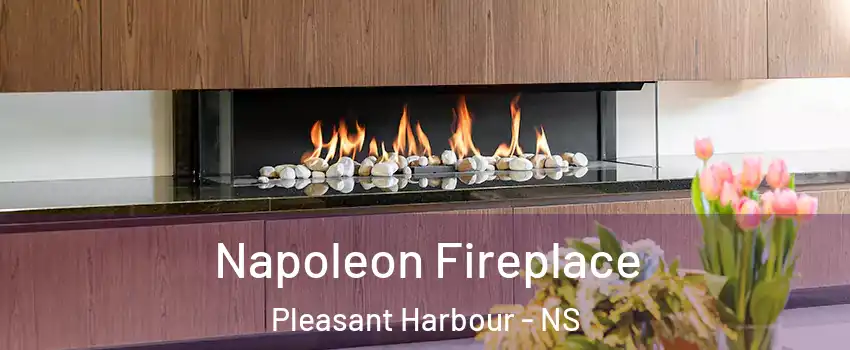 Napoleon Fireplace Pleasant Harbour - NS