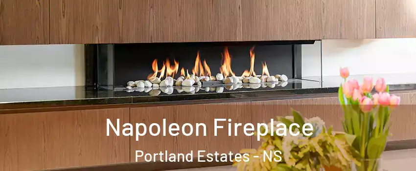 Napoleon Fireplace Portland Estates - NS