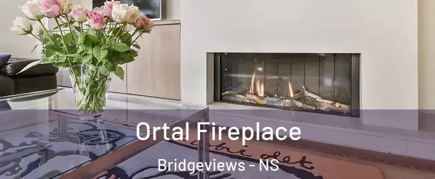 Ortal Fireplace Bridgeviews - NS