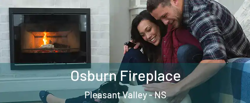 Osburn Fireplace Pleasant Valley - NS