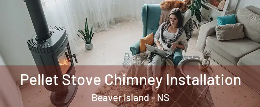 Pellet Stove Chimney Installation Beaver Island - NS