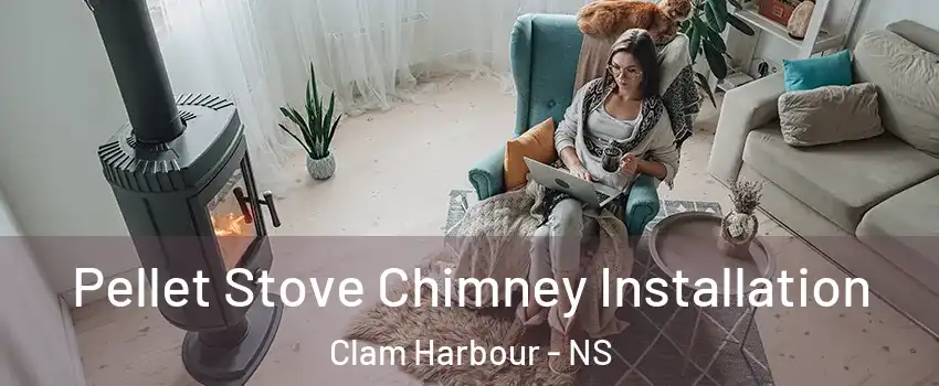 Pellet Stove Chimney Installation Clam Harbour - NS