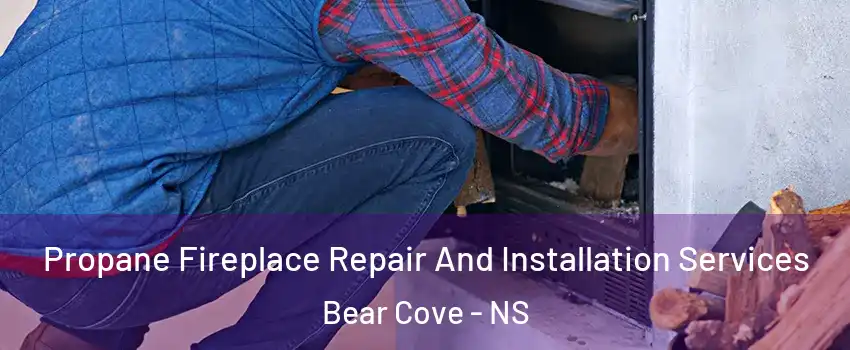 Propane Fireplace Repair And Installation Services Bear Cove - NS