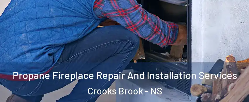 Propane Fireplace Repair And Installation Services Crooks Brook - NS