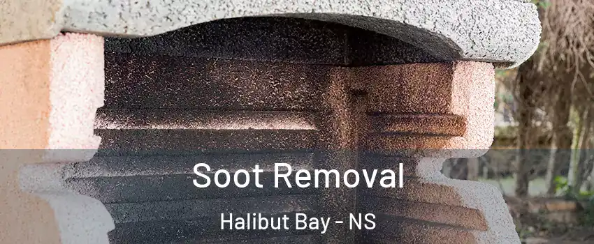 Soot Removal Halibut Bay - NS