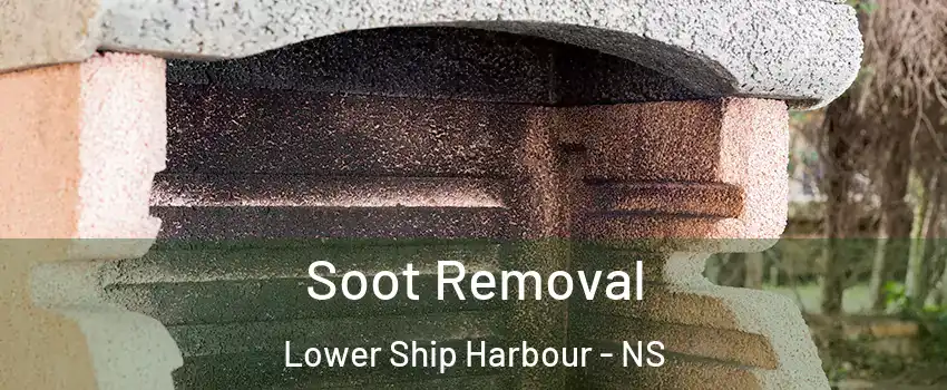 Soot Removal Lower Ship Harbour - NS