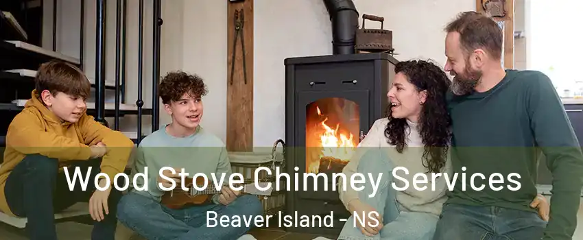 Wood Stove Chimney Services Beaver Island - NS